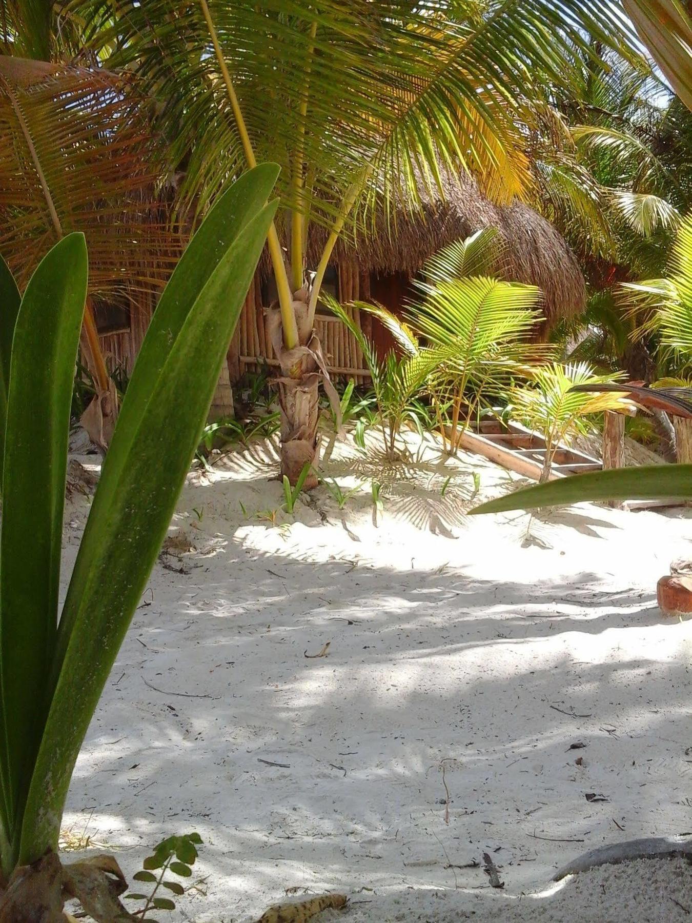 Hotel Zazil Kin Tulum Eksteriør bilde